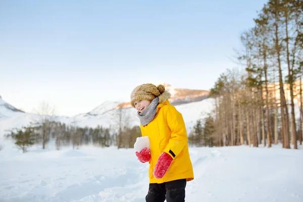 Nastoletni Chłopiec Bawiący Się Lodem Lub Śnieżką Lesie Wśród Górskiej — Zdjęcie stockowe