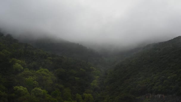 芸術的なタイムラプスビューを最初にダウンをキャプチャし 緑の山々の背景を霧 経過時間 — ストック動画