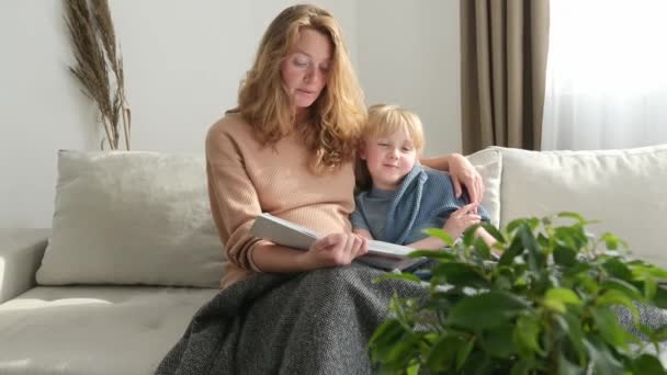 Słodka Ciężarna Mama Czyta Książkę Swojemu Najstarszemu Synowi Wysokiej Jakości — Wideo stockowe