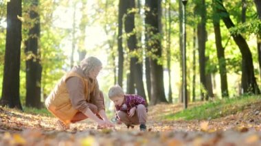 Anne ve oğlu sonbahar parkında eğleniyorlar. Güzel bir kadın, tapılası bebeğiyle oynuyor. Çocuklu aileler için geleneksel mevsimlik etkinlikler