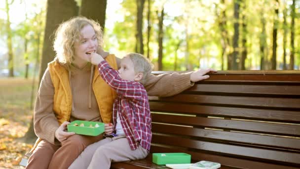 Matka Její Batole Syn Jíst Svačinu Krabice Obědem Podzimním Parku — Stock video