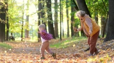 Anne ve oğlu sonbahar parkında eğleniyorlar. Güzel bir kadın sarı akçaağaç yapraklarını kusarken küçük bebeği dönüyor. Çocuklu aileler için geleneksel mevsimlik etkinlikler