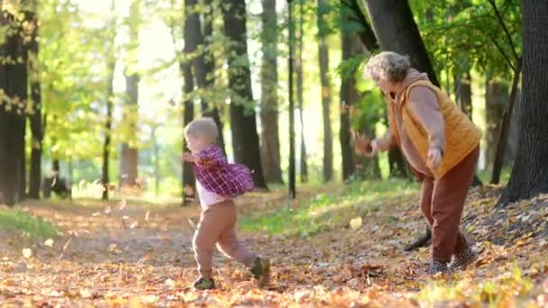 妈妈和她儿子正在秋天的公园里玩得很开心 一个漂亮的女人抛出黄色的枫叶 而她可爱的幼儿在纺纱 有子女家庭的传统季节性活动 — 图库视频影像