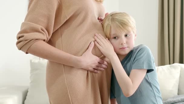 妊娠した母親の腹を抱きしめたり聞いたりする少年 自宅で妊娠した母親と長男 未来の大兄さん シブリング — ストック動画
