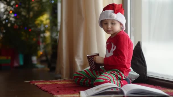 Przytulny Moment Bożego Narodzenia Uroczy Chłopczyk Pije Gorącą Czekoladę Siedząc — Wideo stockowe