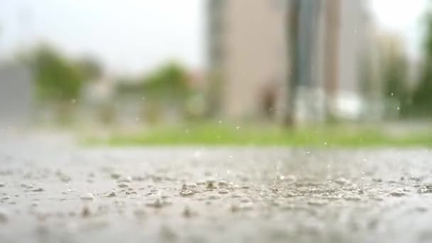 Atmospheric Video Rainstorm City Heavy Rain Splashes Puddles Taken Low — Stock Video