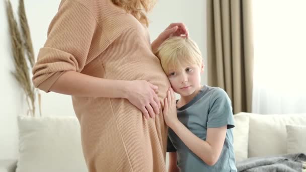 妊娠した母親の腹を抱きしめたり聞いたりする少年 自宅で妊娠した母親と長男 未来の大兄さん シブリング — ストック動画