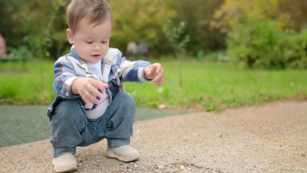 かわいい赤ん坊の男の子が夏の日に公園の道で小石で遊んでいる 小さな子供たちの感覚開発 キーン トッドラー 楽しいアウトドア — ストック動画