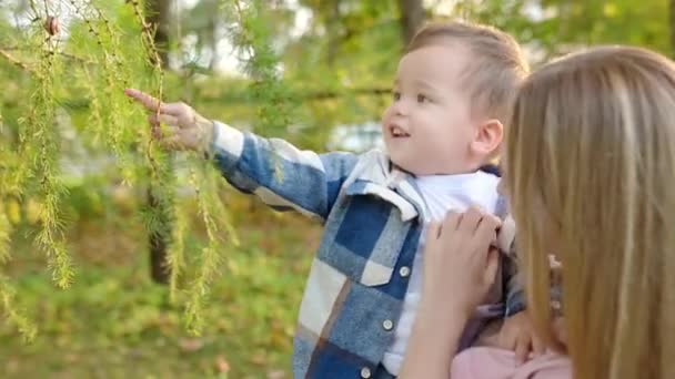 若い母親と小さな赤ん坊の男の子は 晴れた夏の公園を散歩中にカタツムリを見ています ママと可愛い息子が自然を探検しています 家族の時間 — ストック動画