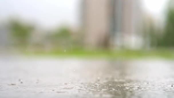 都市での雨の大気ビデオ 激しい雨と低地から取られた水たまり 舗装に大きなドロップが割れています スローモーション — ストック動画