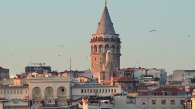 Günbatımında İstanbul 'un Boğaz' dan Galata Kulesi 'nin ve çatılarının manzarası. Altın saat boyunca martılarla dolu pitoresk bir şehir. Turizm - İstanbul, Türkiye - 6 Ağustos 2023