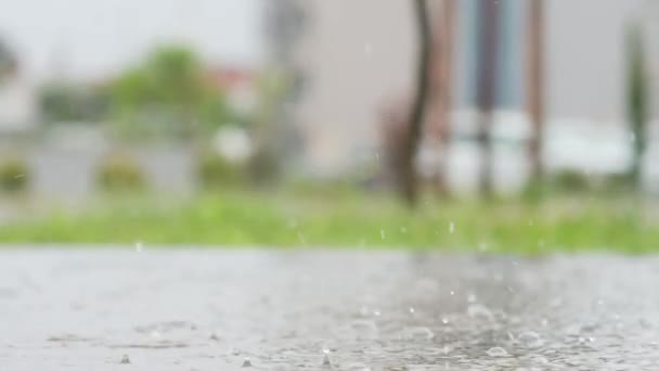 Légköri Videó Egy Város Viharáról Erős Eső Tócsákat Fröcsköl Mélypontból — Stock videók