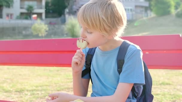 快乐的小男孩在户外热情地吃着美味的冰淇淋 在阳光明媚的日子 学童放学后吃小吃 这孩子吃了好吃的冰激凌 变得脏兮兮的 — 图库视频影像