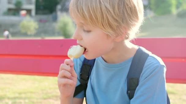 Szczęśliwy Mały Chłopiec Entuzjastycznie Jedzący Smaczne Lody Świeżym Powietrzu Lecie — Wideo stockowe