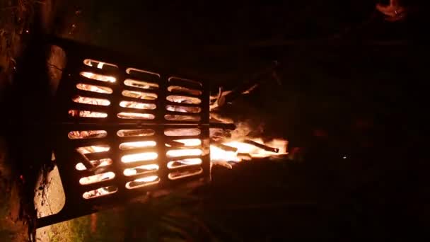篝火与燃烧的树林在后院的夜晚 一个方便和安全的碗为一个开放的火 金属便携式火坑是草坪上或夏令营中户外野餐的安全装置 — 图库视频影像