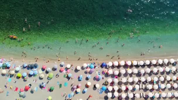 暑い夏の日に人々でいっぱいのビーチのドローン空中ビュー ハイホリデーシーズン 完全な砂浜の列に白い日傘 最も純粋な透明アドリア海 ストック動画