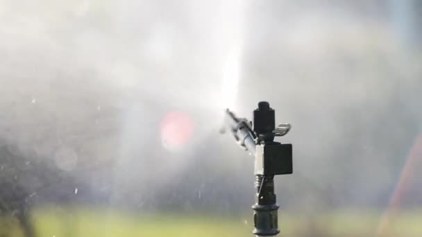 Super Slow Motion Garden Sprinkler Public Park Gardening Equipment Watering — Stock Video