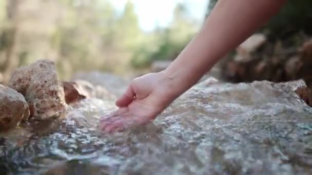 Mujer Madura Tocando Recogiendo Agua Transparente Más Pura Río Montaña — Vídeo de stock