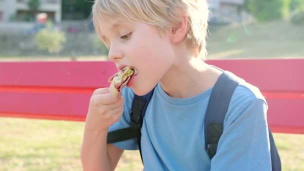 Joyeux Petit Garçon Mangeant Avec Enthousiasme Délicieuses Glaces Extérieur Été — Video