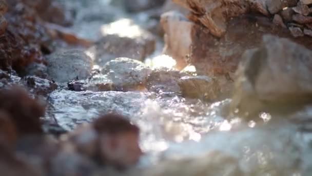山の川の石の間を流れるで最も純粋な透明な水のクローズアップビデオ 山の中で晴れた日の詳細 山の泉の清らかな水 — ストック動画