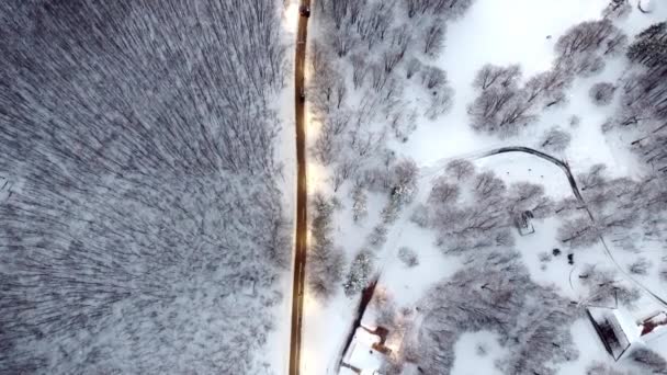 Verbazingwekkend Uitzicht Vanuit Lucht Vanaf Drone Weg Tussen Schilderachtige Bergen — Stockvideo