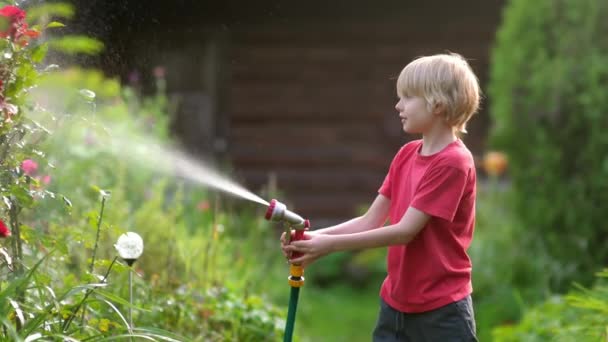 有趣的小男孩在阳光灿烂的后院浇灌植物 玩花园软管和洒水 快乐的孩子在用喷水玩乐 青少年暑期户外活动 免版税图库视频