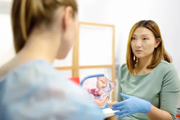 Ginekolog Podczas Wizyty Pacjenta Lekarz Pokazuje Anatomiczny Model Narządów Wewnętrznych — Zdjęcie stockowe