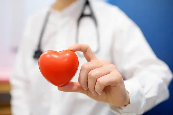 赤い心臓を持っている女性の心臓科医 赤い心臓は医師の手にかかっている カーディオロジーコンセプト ストック画像