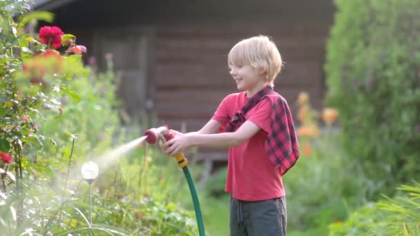 面白い小さな男の子は植物を水やりし 晴れた裏庭でスプリンクラーと庭のホースで遊んでいます 水のスプレーで楽しんでいる幸せな子供 子供のための夏のアウトドア活動 ストック映像