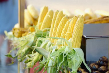 İstanbul 'da tezgahta haşlanmış ve ızgara mısır satışı. Geleneksel Türk fast food. Türkiye 'de ulusal sokak yemekleri.