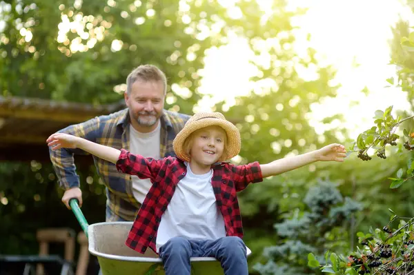 stock image Wheelbarrow pushing by dad in domestic garden on warm sunny day. Active outdoors games for family with kids in the backyard during harvest time