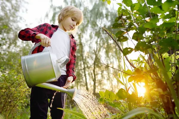Cute Preteen Boy Watering Plants Garden Summer Sunny Day Child Stockafbeelding