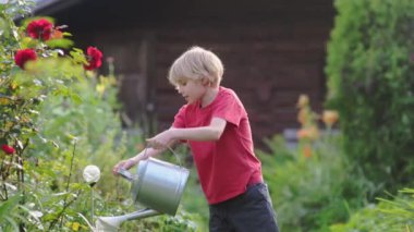 Çiçekleri sulayan, bahçe hortumuyla oynayan ve güneşli arka bahçede fıskiyeyle oynayan komik küçük çocuk. Mutlu çocuk su püskürterek eğleniyor. Çocuklar için yaz etkinliği.