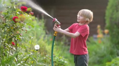 Çiçekleri sulayan, bahçe hortumuyla oynayan ve güneşli arka bahçede fıskiyeyle oynayan komik küçük çocuk. Mutlu çocuk su püskürterek eğleniyor. Çocuklar için yaz etkinliği.