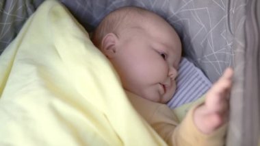 Yeni doğan bebek uykuya dalar. Bebek arabasında uyuyan 2 aylık sevimli bir bebek. Tatlı yeni doğan erkek ya da kız. Küçük bir bebek anne ve babasıyla parkta yürürken dünyayı keşfediyor.