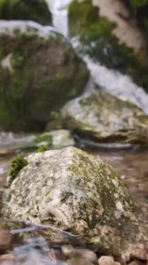 Taşlar arasında akan bir dağ nehrindeki en saf şeffaf su. Dağlarda bulutlu bir gün. Dağ pınarındaki saf temiz su. Bir dağ şelalesinde su akıntısı akıntısını aşar.