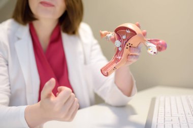 Hasta randevusu sırasında jinekolog. Doktor iç organların anatomik modelini gösteriyor ve hastalıkları açıklıyor. Jinekolojik danışma ve tedavi taktiklerinin tartışılması