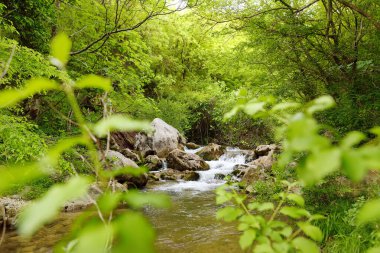 Taşlar arasında akan bir dağ nehrindeki en saf şeffaf su. Dağlarda güneşli bir günün detayları. Dağdaki pınarda saf temiz su.