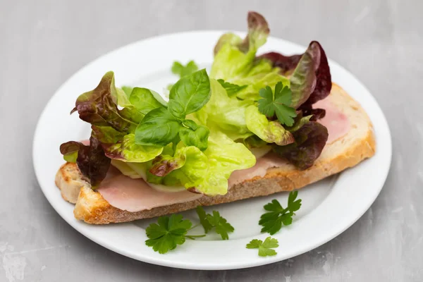 Sandwichs Grillés Savoureux Fromage Sur Plaque Blanche — Photo