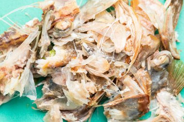 Bones and fish heads on green plastic board on green