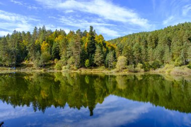 Arka planda ağaçlar ve dağlar olan güzel bir göl görüntüsü.