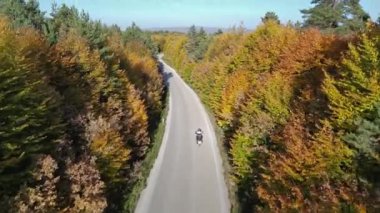 Sonbaharda ormanın güzel manzarası olan yolda motosiklet.