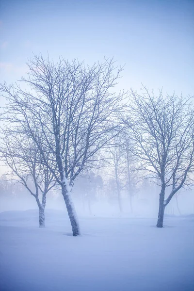 Schöner Nebliger Sonnenuntergang Winterwunderland Finnland — Stockfoto