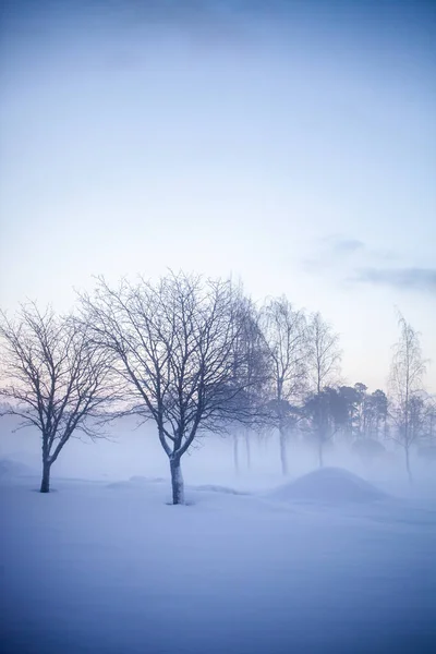Όμορφο Ομιχλώδες Ηλιοβασίλεμα Στη Χώρα Των Θαυμάτων Χειμώνα Φινλανδία — Φωτογραφία Αρχείου