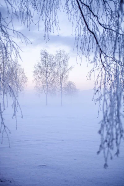 Hermosa Puesta Sol Nebulosa Invierno País Las Maravillas Finlandia — Foto de Stock