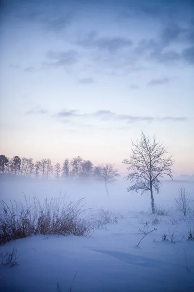 Bellissimo Tramonto Nebbioso Nel Paese Delle Meraviglie Invernale Finlandia — Foto Stock