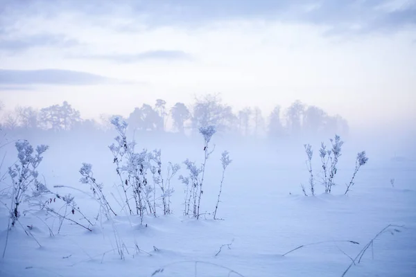 芬兰冬季仙境中美丽的雾蒙蒙的落日 — 图库照片