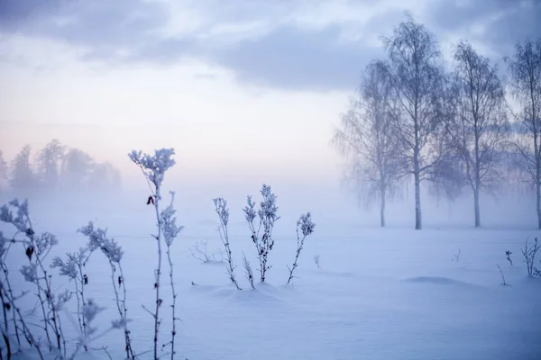 Beautiful Foggy Sunset Winter Wonderland Finland — Stock Photo, Image