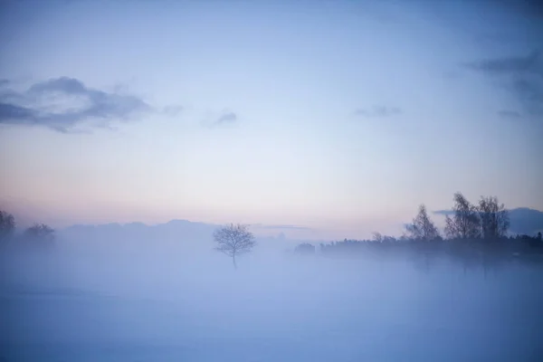 Krásný Mlhavý Západ Slunce Zimní Říši Divů Finsko Royalty Free Stock Obrázky