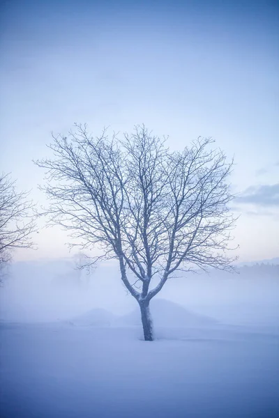 Krásný Mlhavý Západ Slunce Zimní Říši Divů Finsko — Stock fotografie